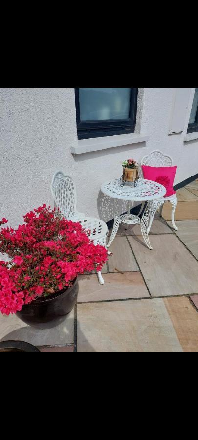 Knockrobin Cottage Γουίκλοου Εξωτερικό φωτογραφία